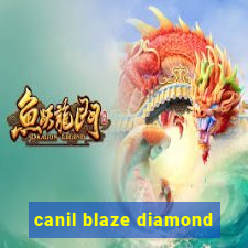 canil blaze diamond